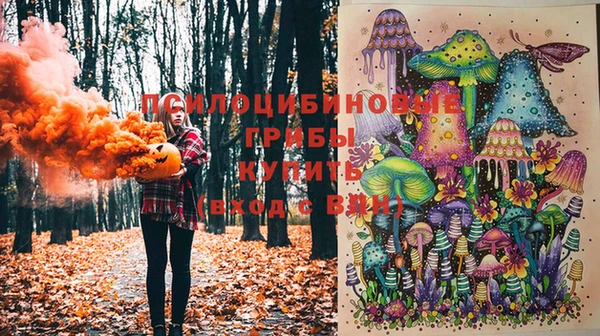 прущая мука Новозыбков