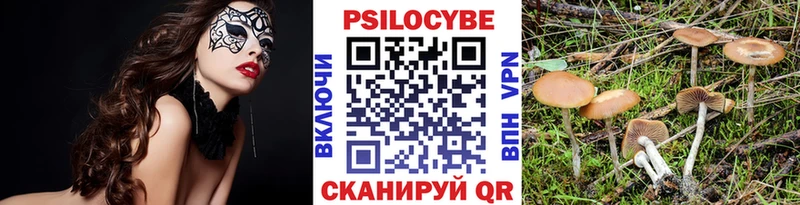 Купить где  Михайловск  Галлюциногенные грибы MAGIC MUSHROOMS 