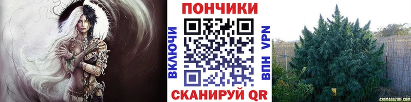 Купить  Михайловск  Бошки марихуана SATIVA & INDICA 